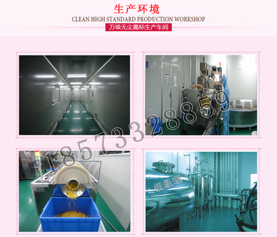 代餐奶昔代工廠 營養蛋白代餐奶昔加工貼牌一站式服務